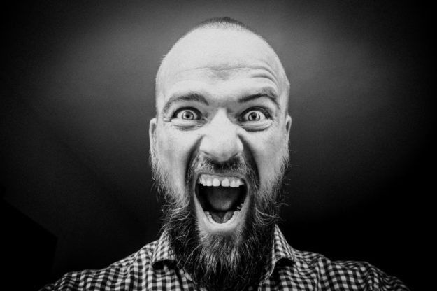 gem-lauris-rk-unsplash rabbia