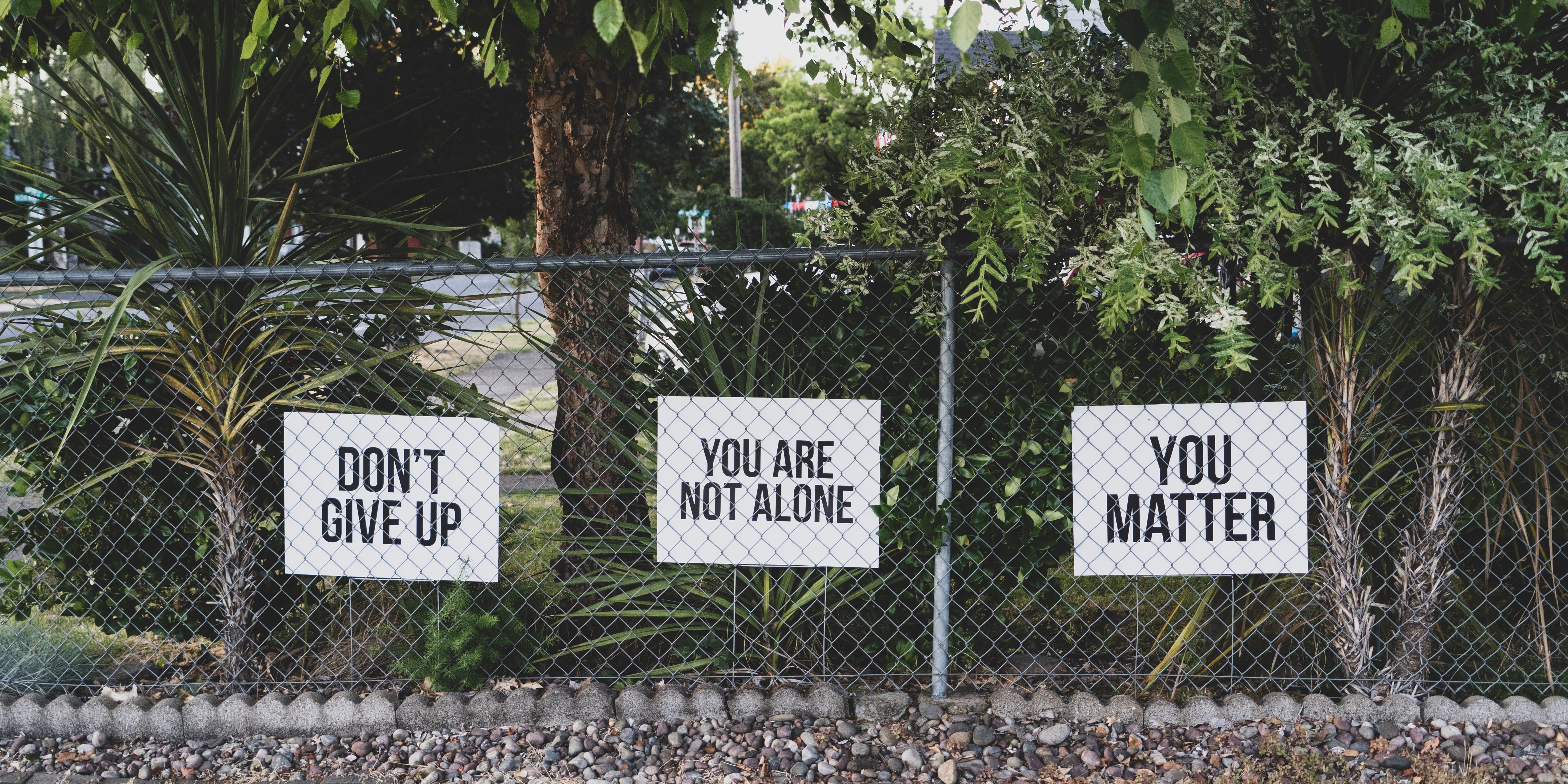 dan-meyers-hluOJZjLVXc-unsplash